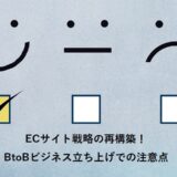 ECサイト戦略の再構築！BtoBビジネス立ち上げでの注意点